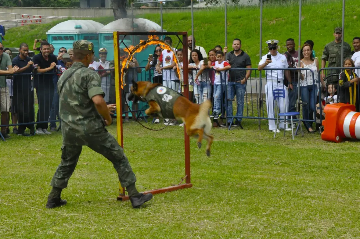 Um dos pontos altos da manhã foi a demonstração de cães
