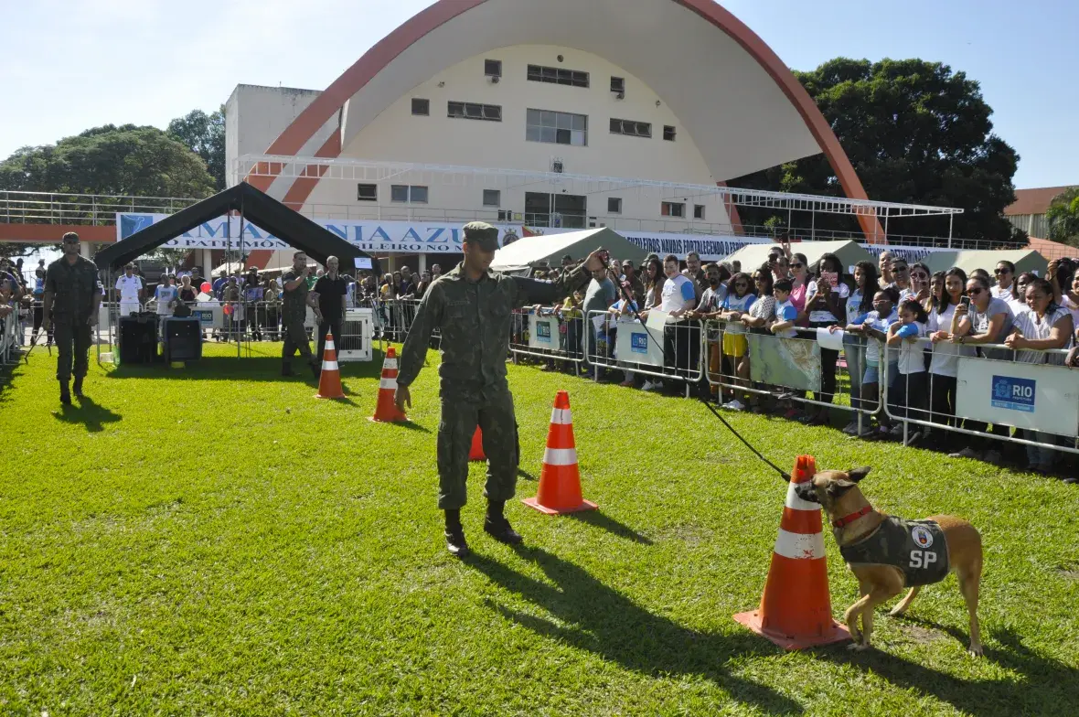 O público assistiu a uma demonstração com cães