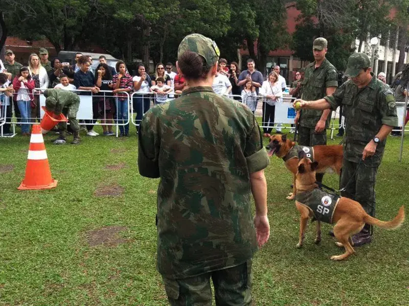 Os militares explicaram como funciona o adestramento de cães para emprego em operações militares