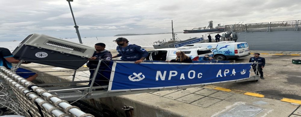 Embarque dos animais marinhos no Navio