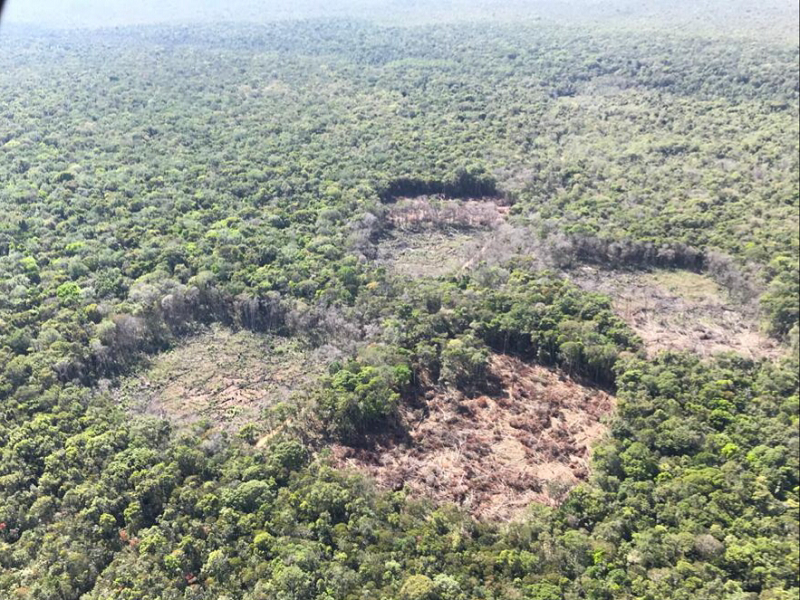 Área desmatada na Reserva Indígena Nambikwara