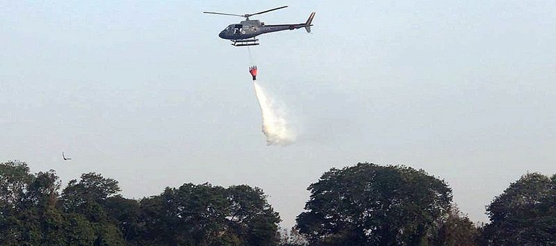 Ação do bambi bucket