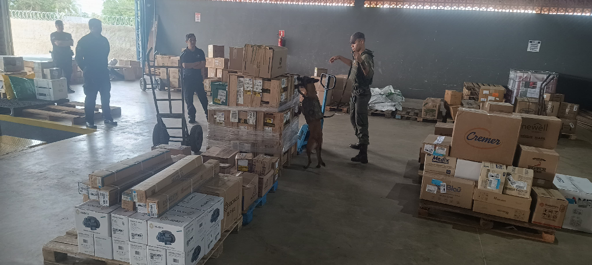Emprego dos cães em transportadora de Cáceres-MT