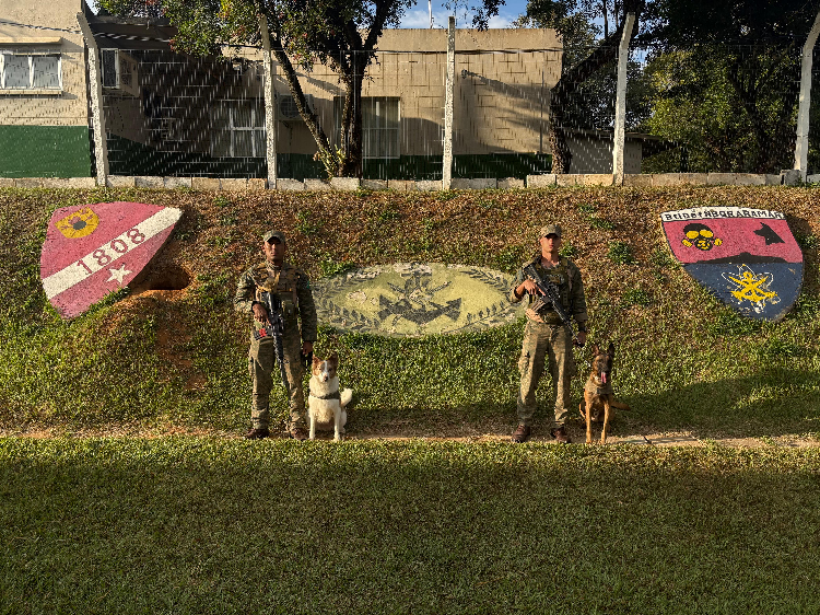 Cães do 3ºBtlOpRib que realizaram a prova “Begleithund”