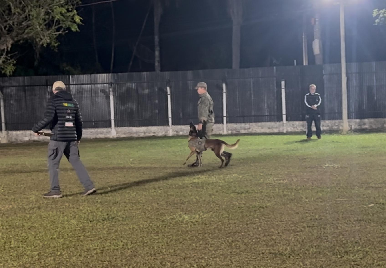 Cão na execução dos testes de obediência e sociabilidade