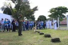 Apresentação de cães