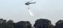 Ação do bambi bucket