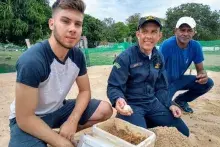 Foram soltas, no dia 7, cinco mil filhotes de tartarugas às margens do rio Araguaia