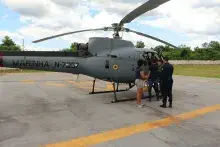 Vítima foi picada por cobra