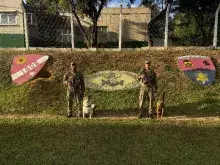 Cães do 3ºBtlOpRib que realizaram a prova “Begleithund”