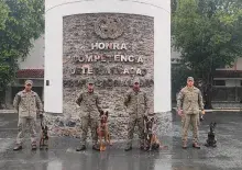 Militares do 3ºBTtlOpRib e os novos cães