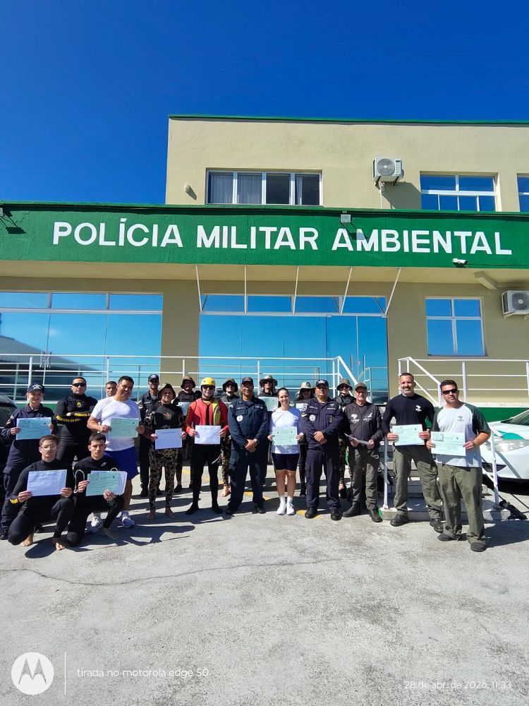 Notícia 3