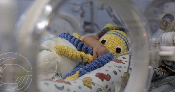 Bebê com polvo de brinquedo
