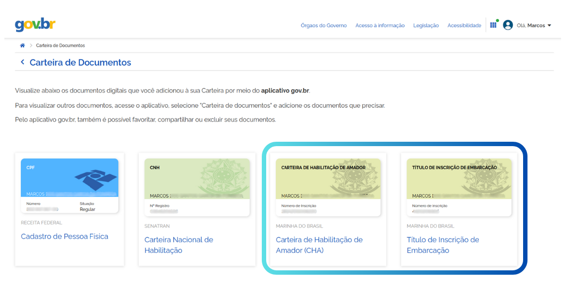 cards de acesso a carteira e embarcações no gov.BR